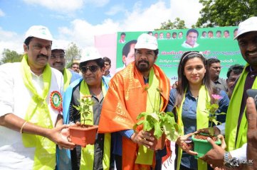 Celebs participating Haritha Haaram Event